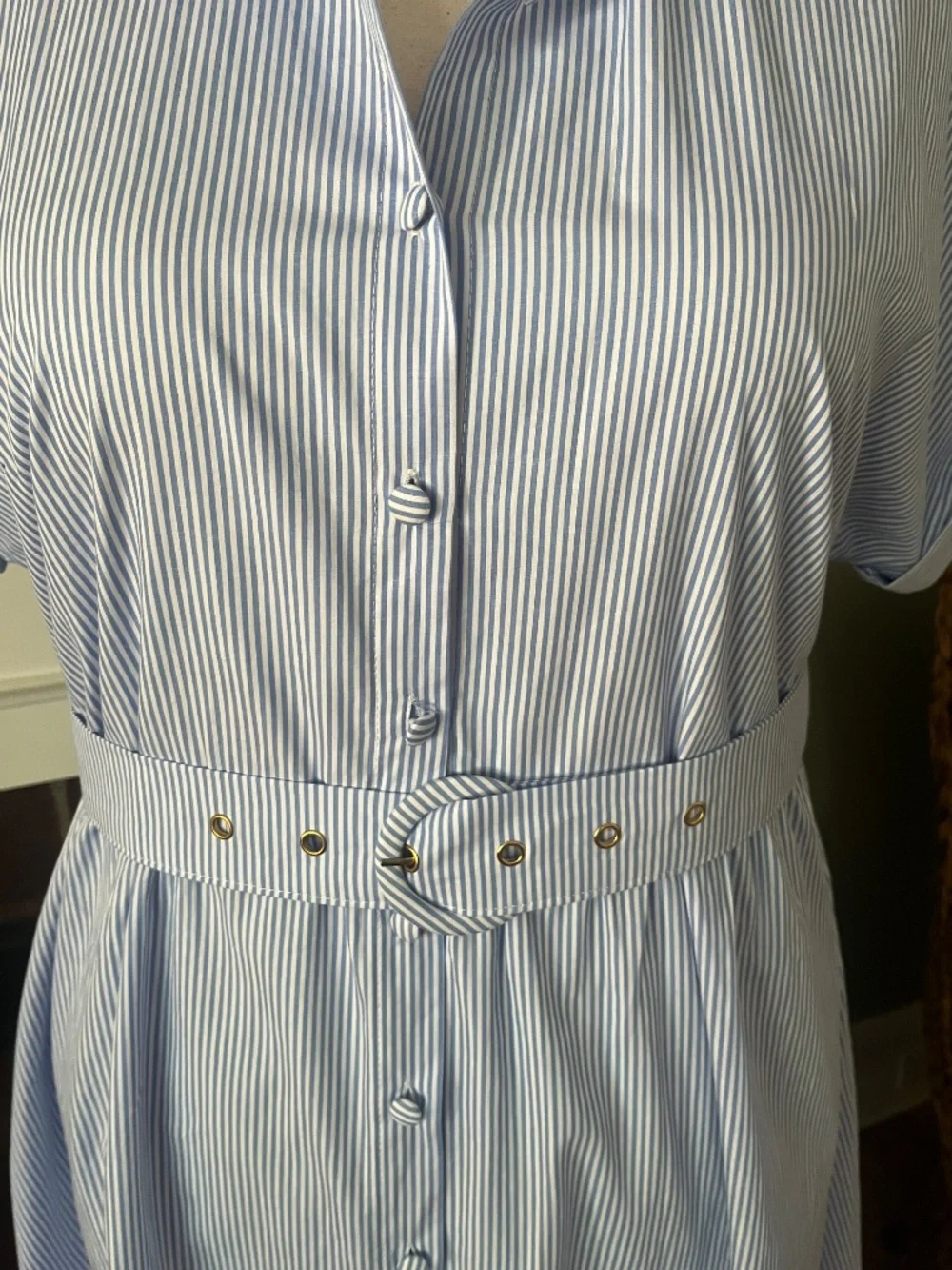 Blue & White Stripe Cotton Shirtdress | Belted | 100% Cotton - Picture 2 of 10